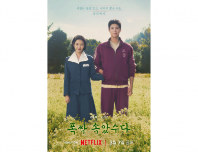 Netflix 폭싹 속았수다